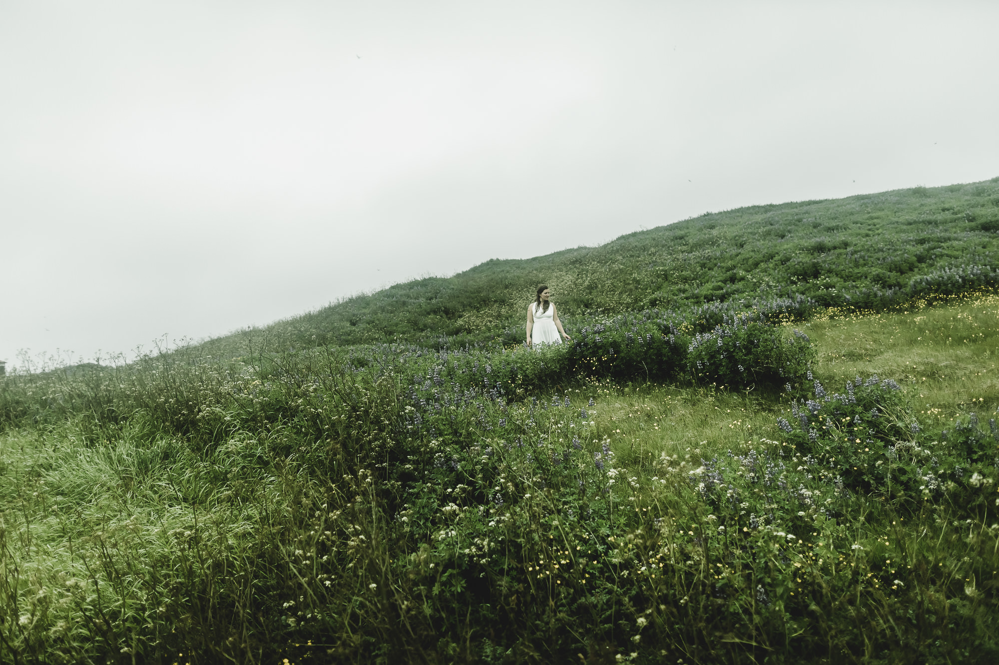 Export x3 5D4 9118 Victoria @ Reykanesviti 2